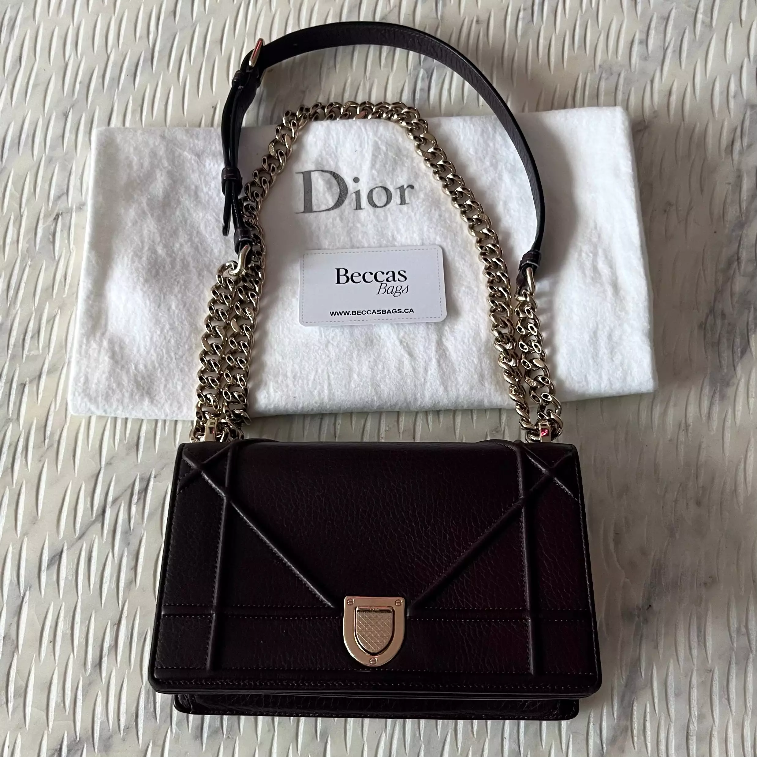 Christian Dior Diorama Bag