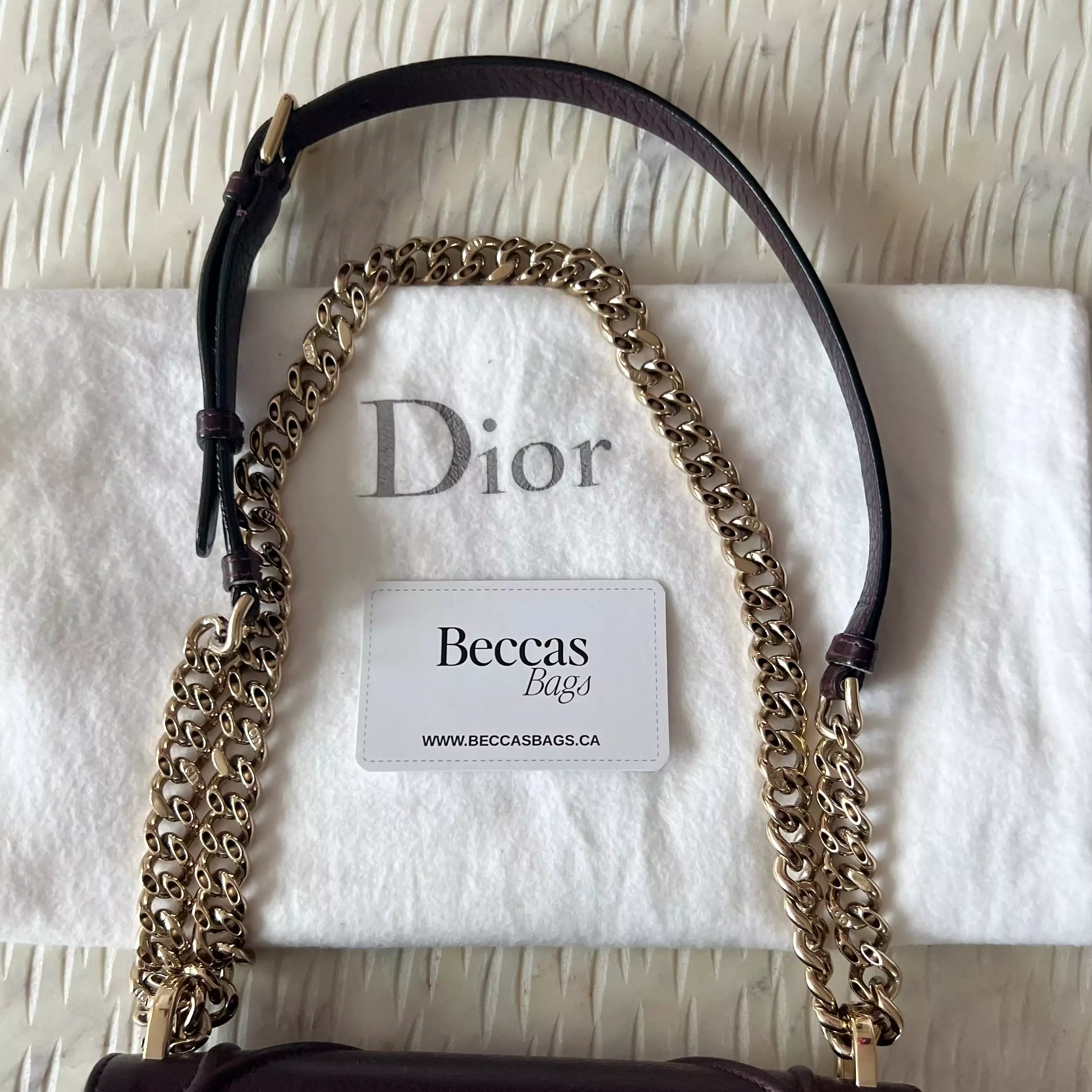 Christian Dior Diorama Bag