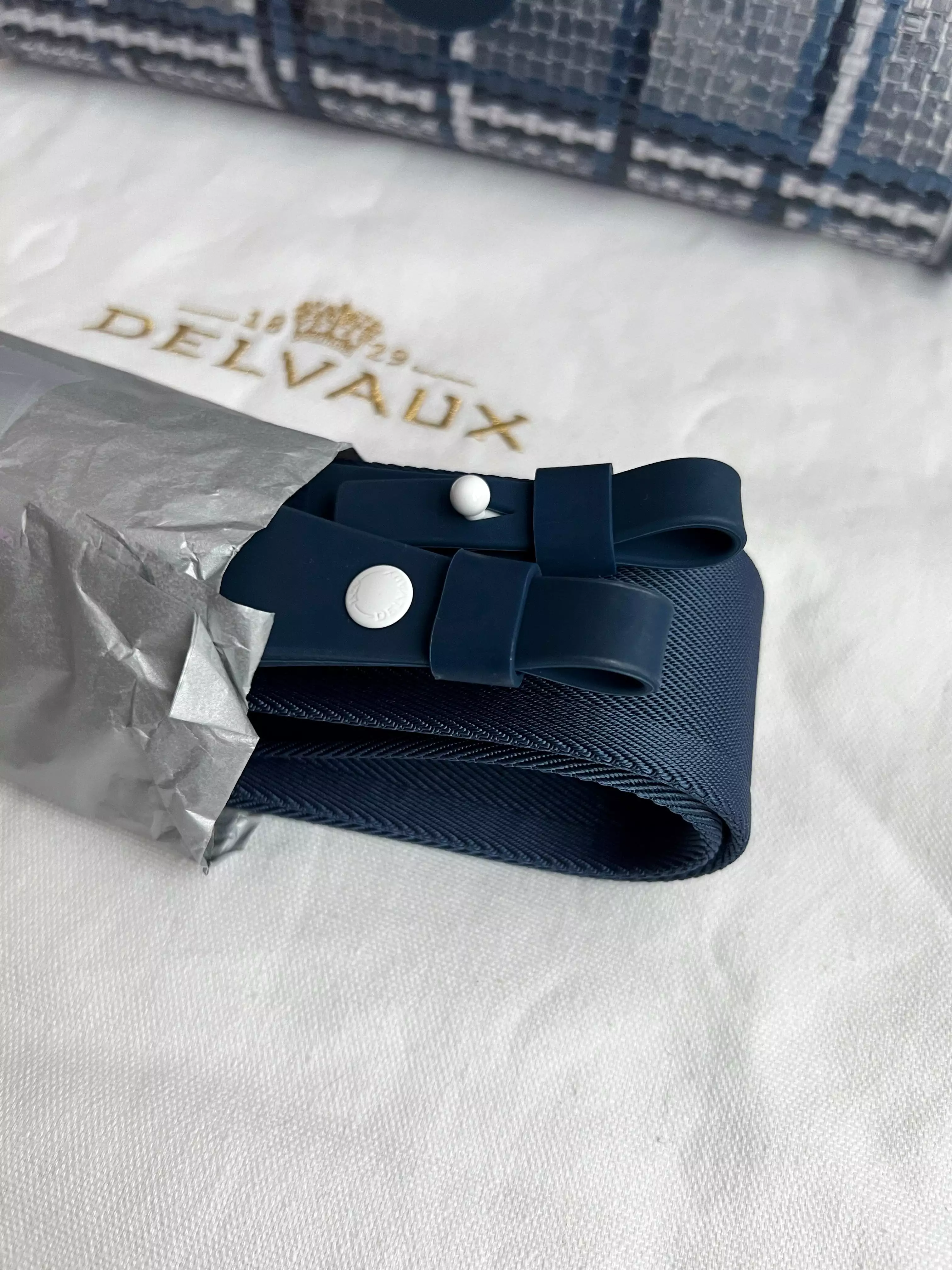 Delvaux Brilliant Bag