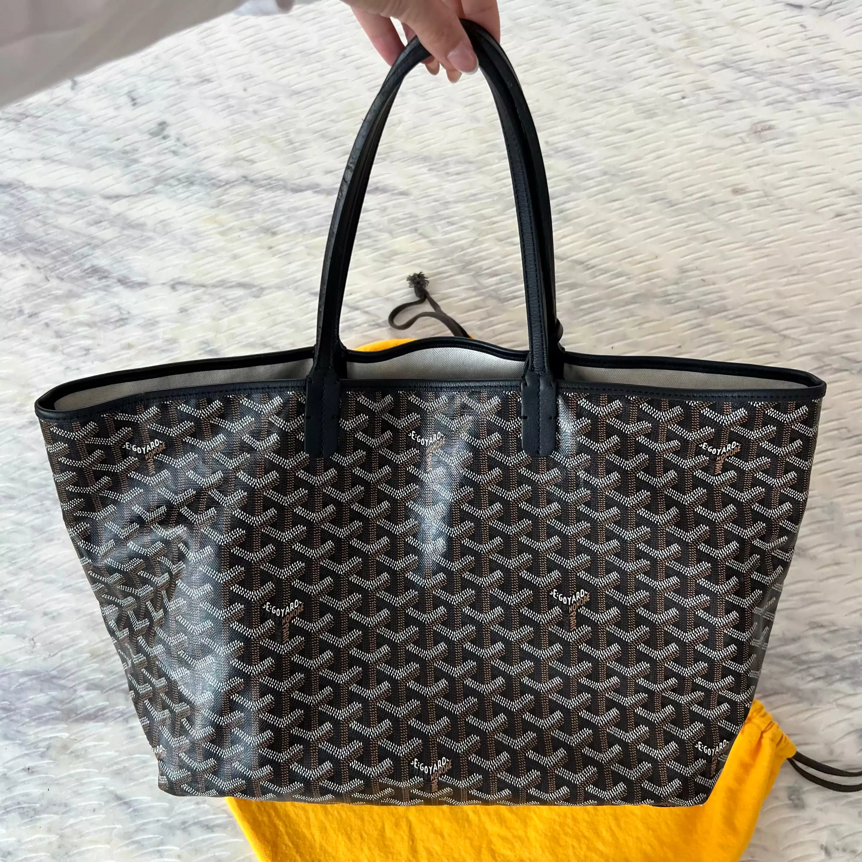 Goyard St Louis Bag