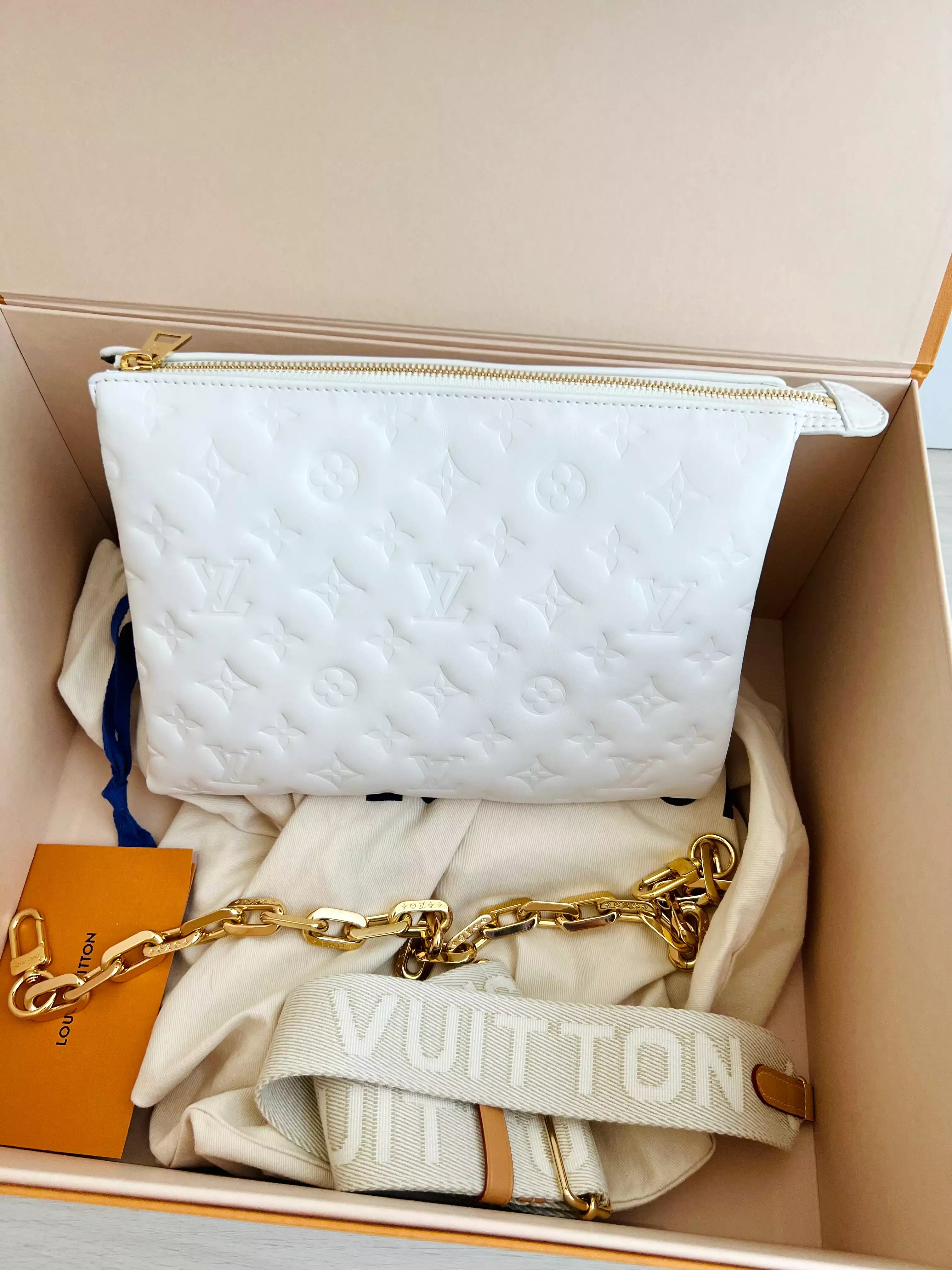 Louis Vuitton Coussin Bag