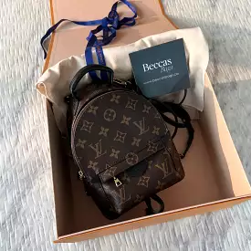 Louis Vuitton Palm Springs Mini Bag