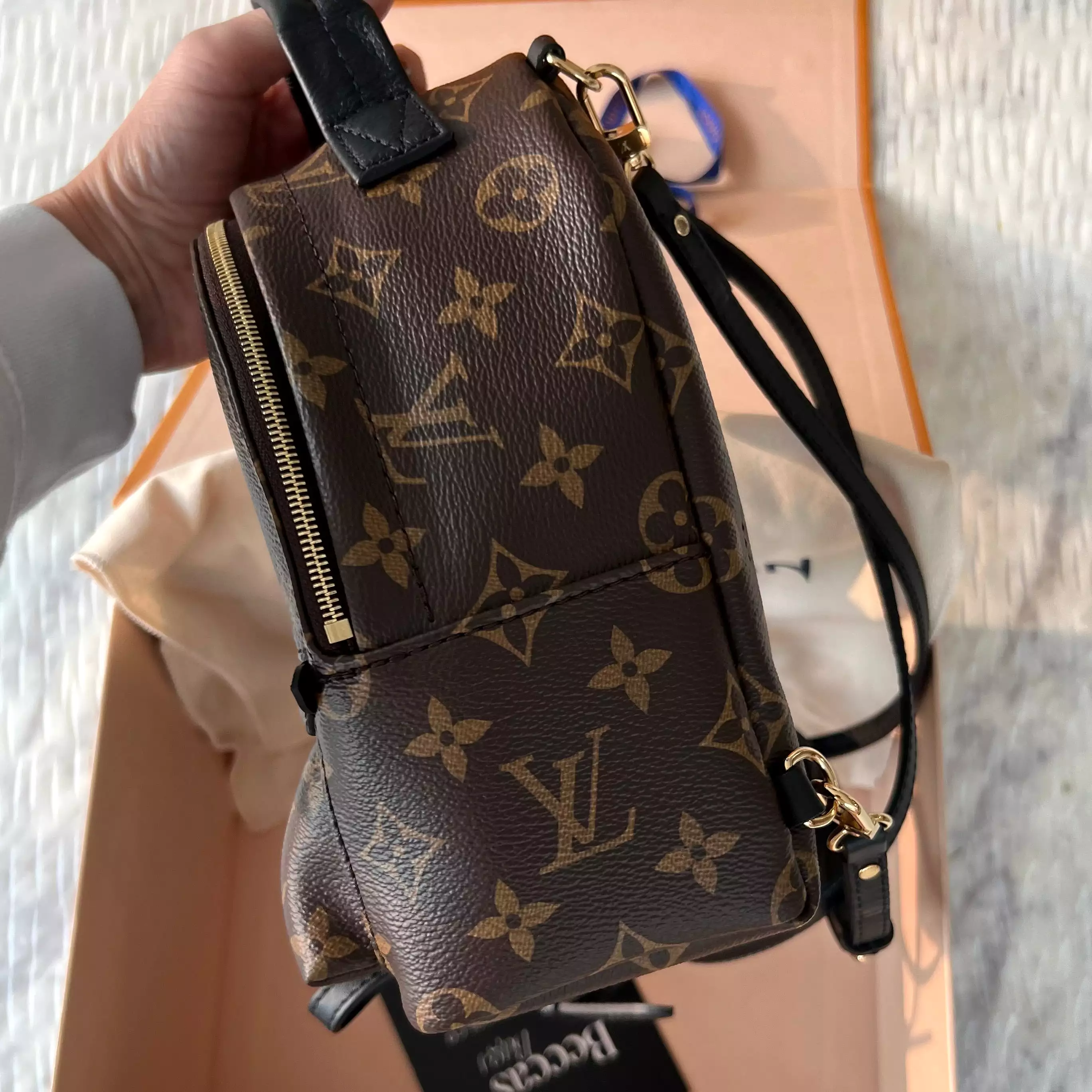 Louis Vuitton Palm Springs Mini Bag