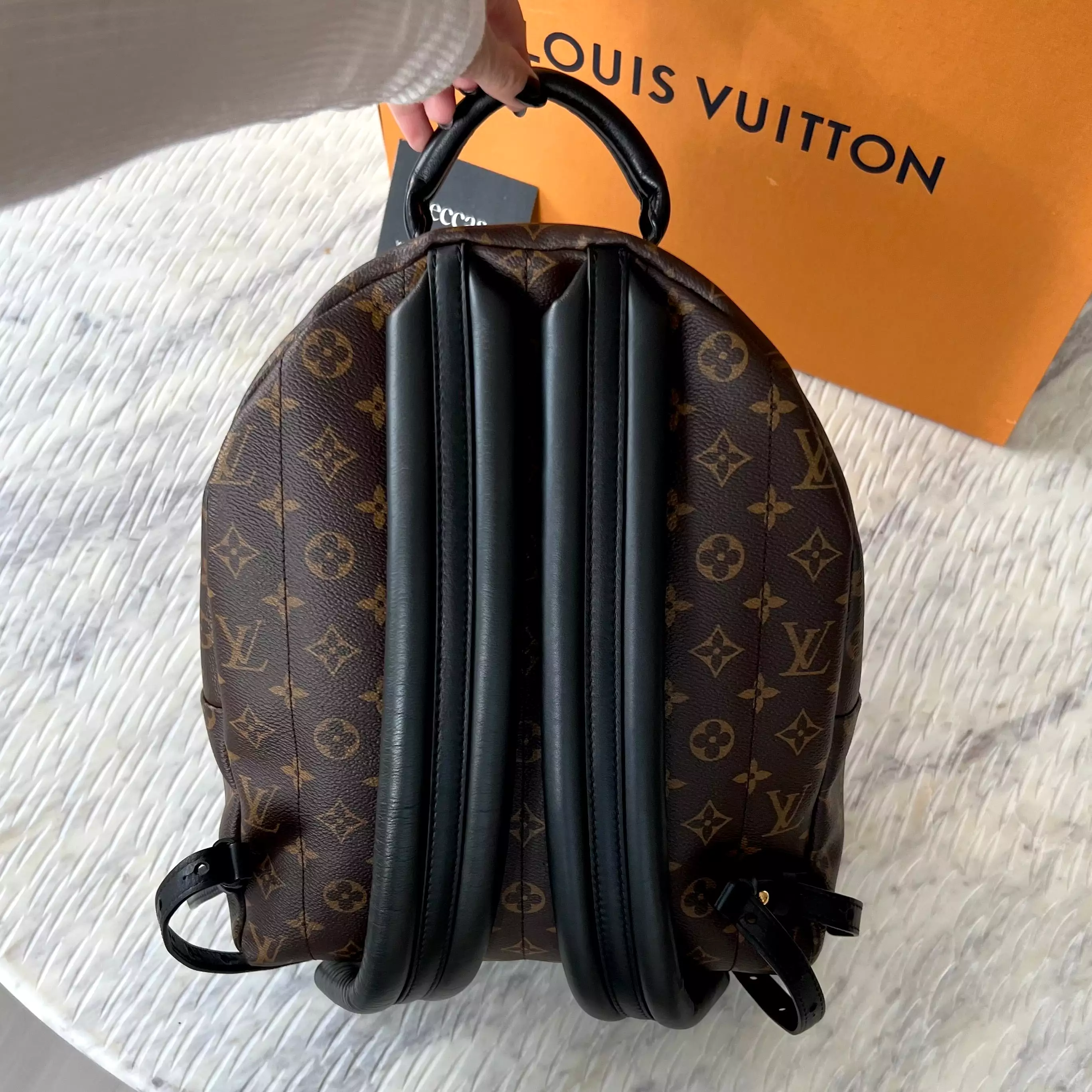 Louis Vuitton Palm Springs MM Bag