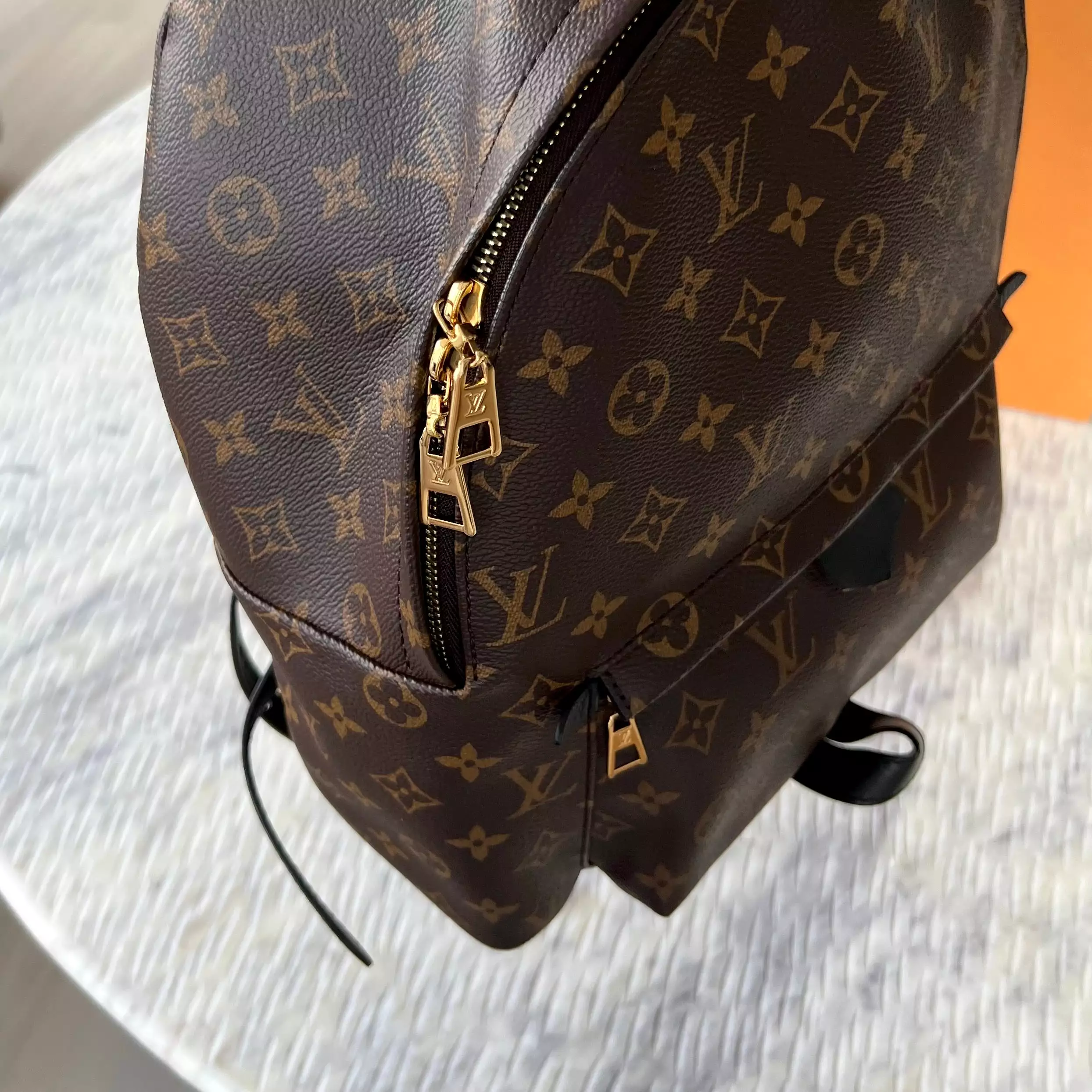 Louis Vuitton Palm Springs MM Bag