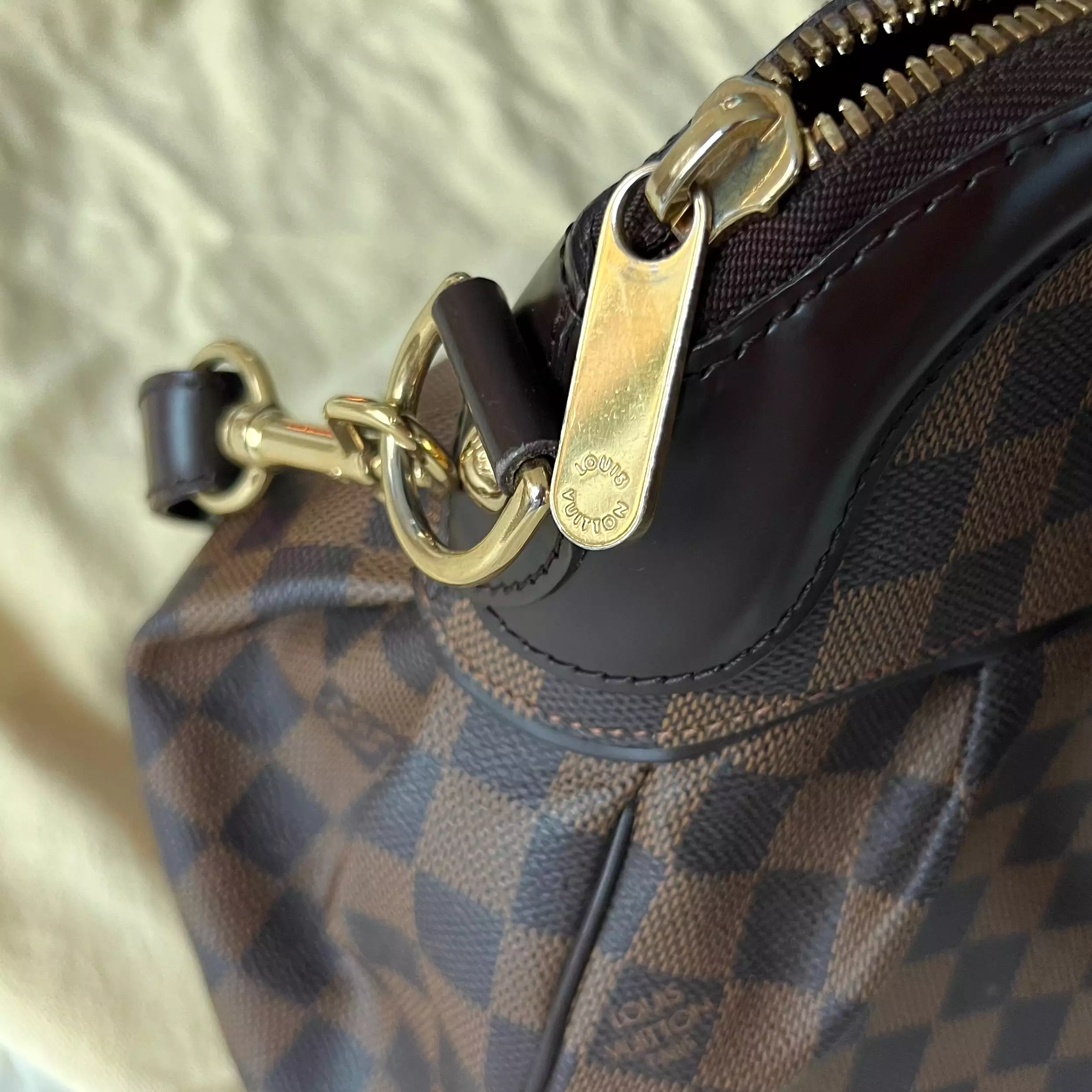 Louis Vuitton Trevi Bag