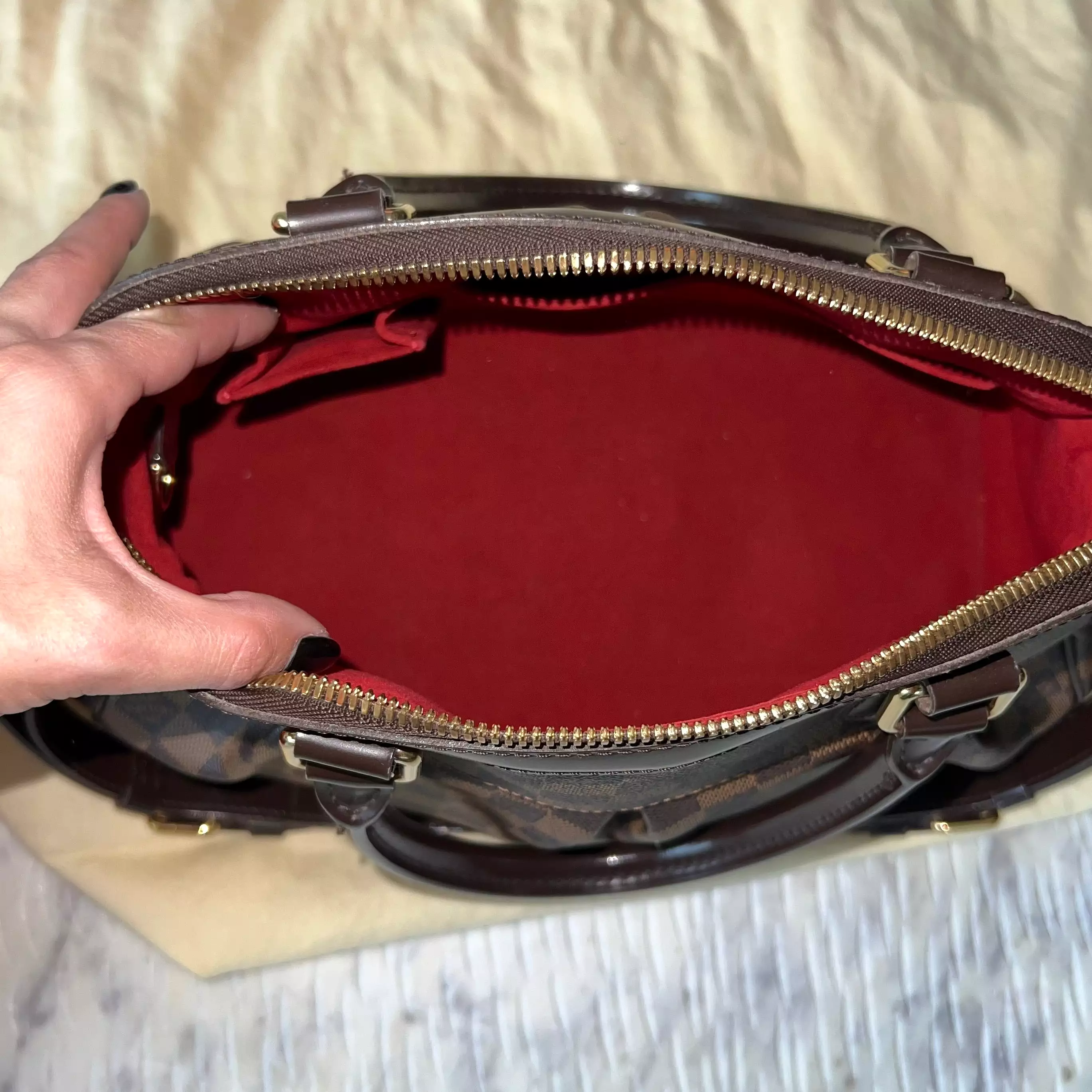 Louis Vuitton Trevi Bag