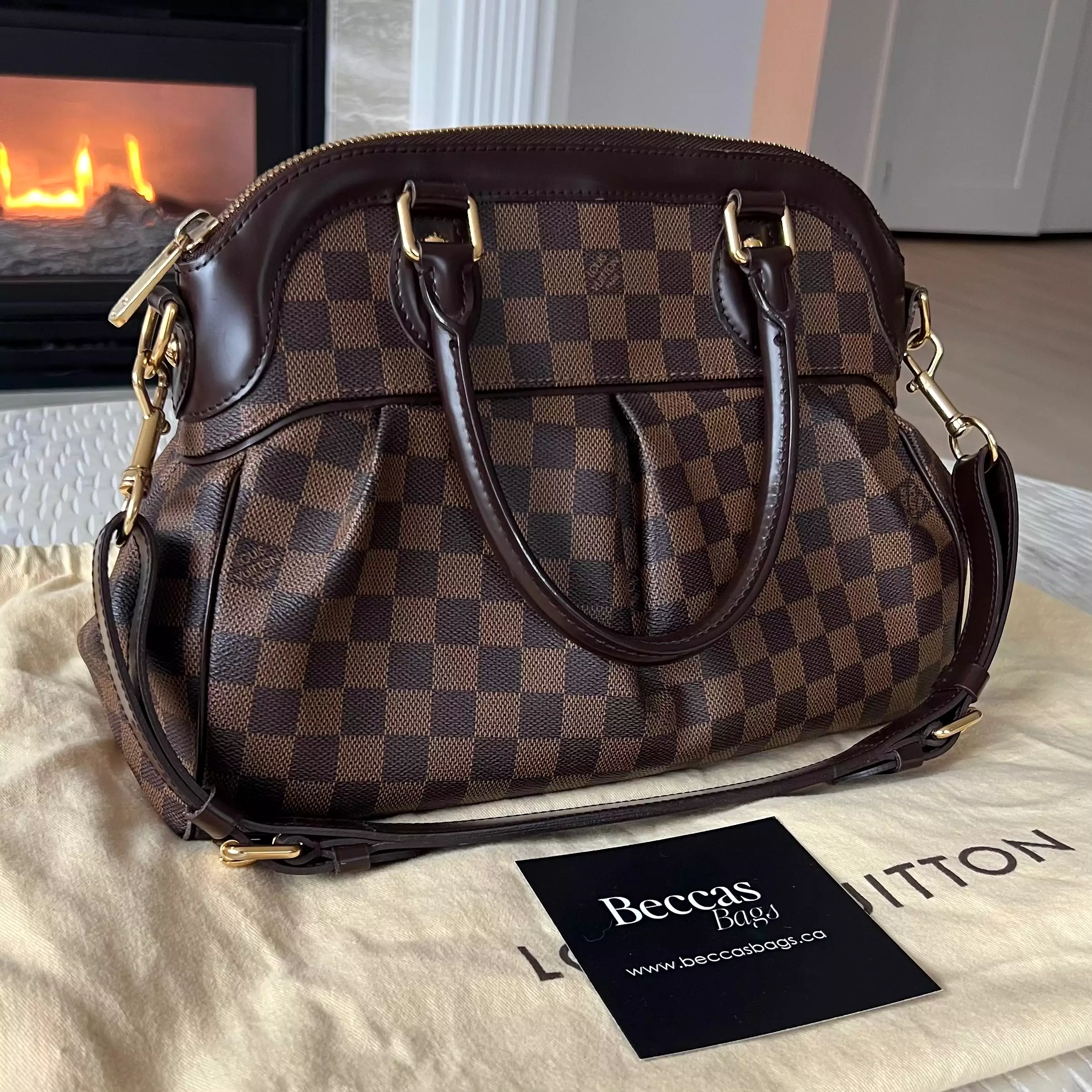 Louis Vuitton Trevi Bag