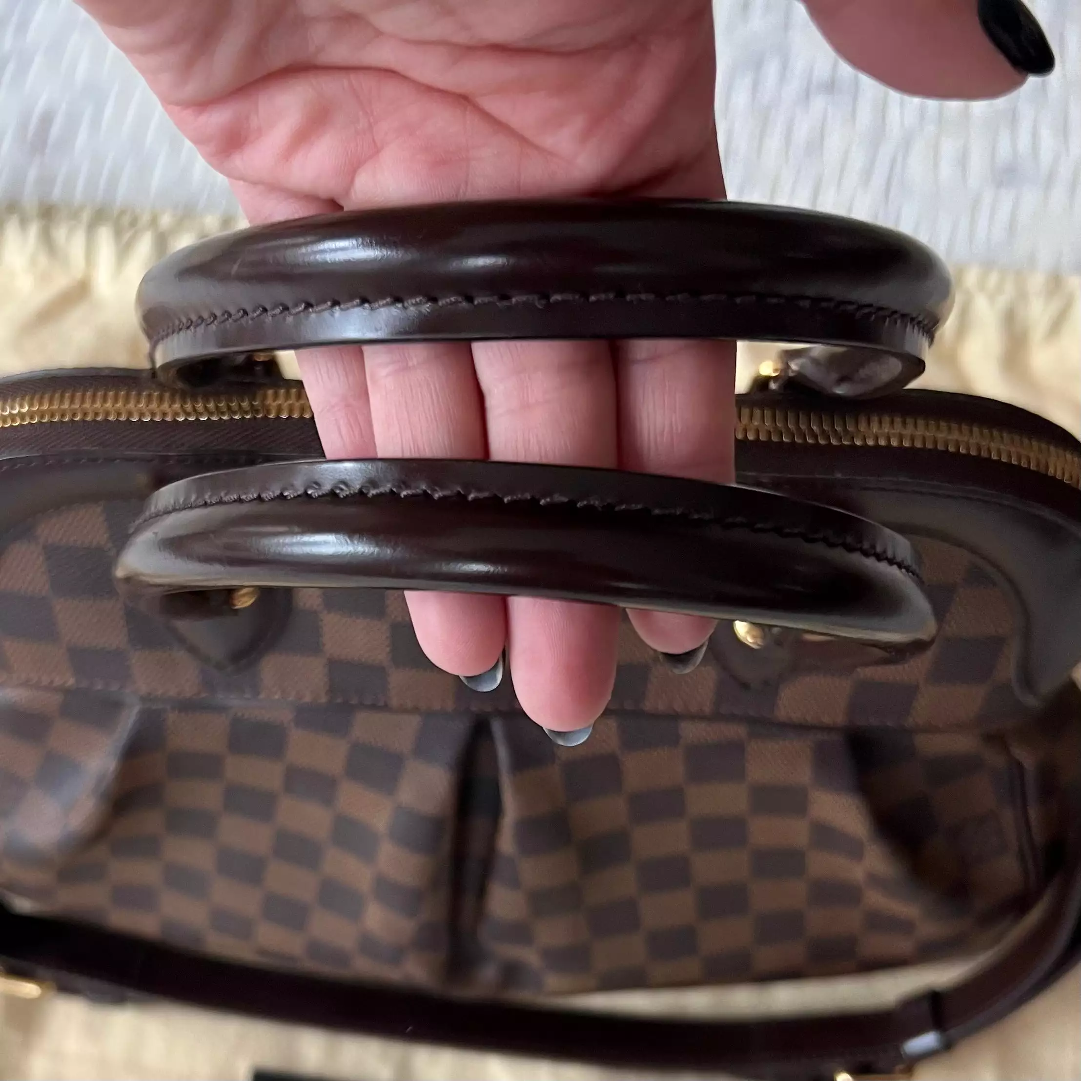 Louis Vuitton Trevi Bag