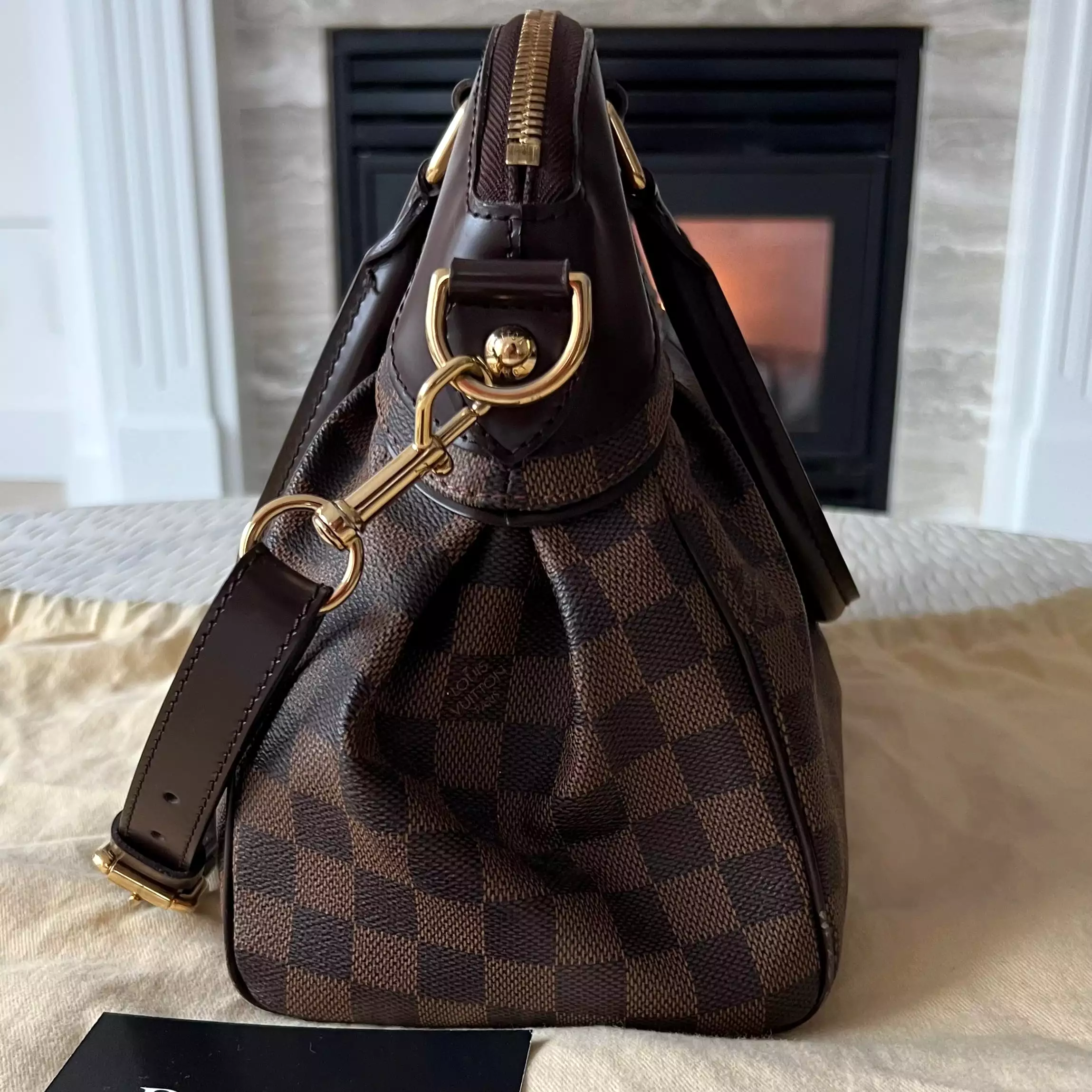 Louis Vuitton Trevi Bag