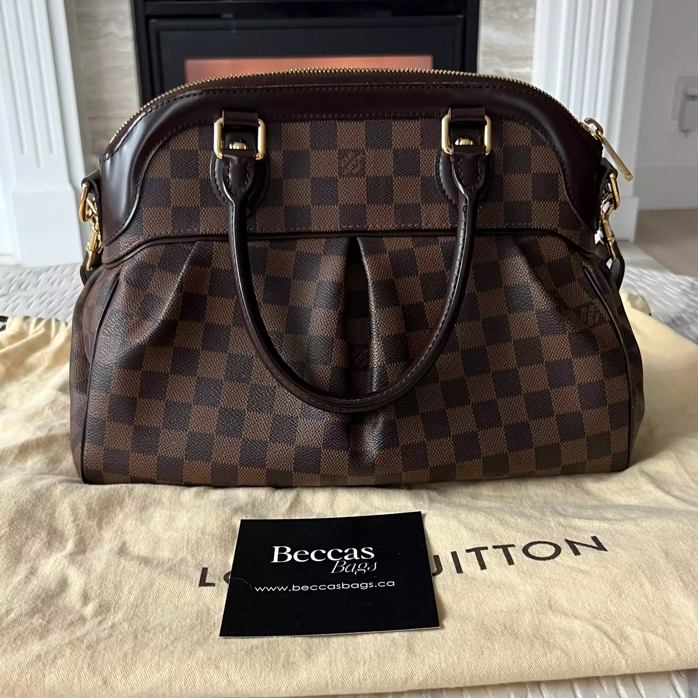 Louis Vuitton Trevi Bag