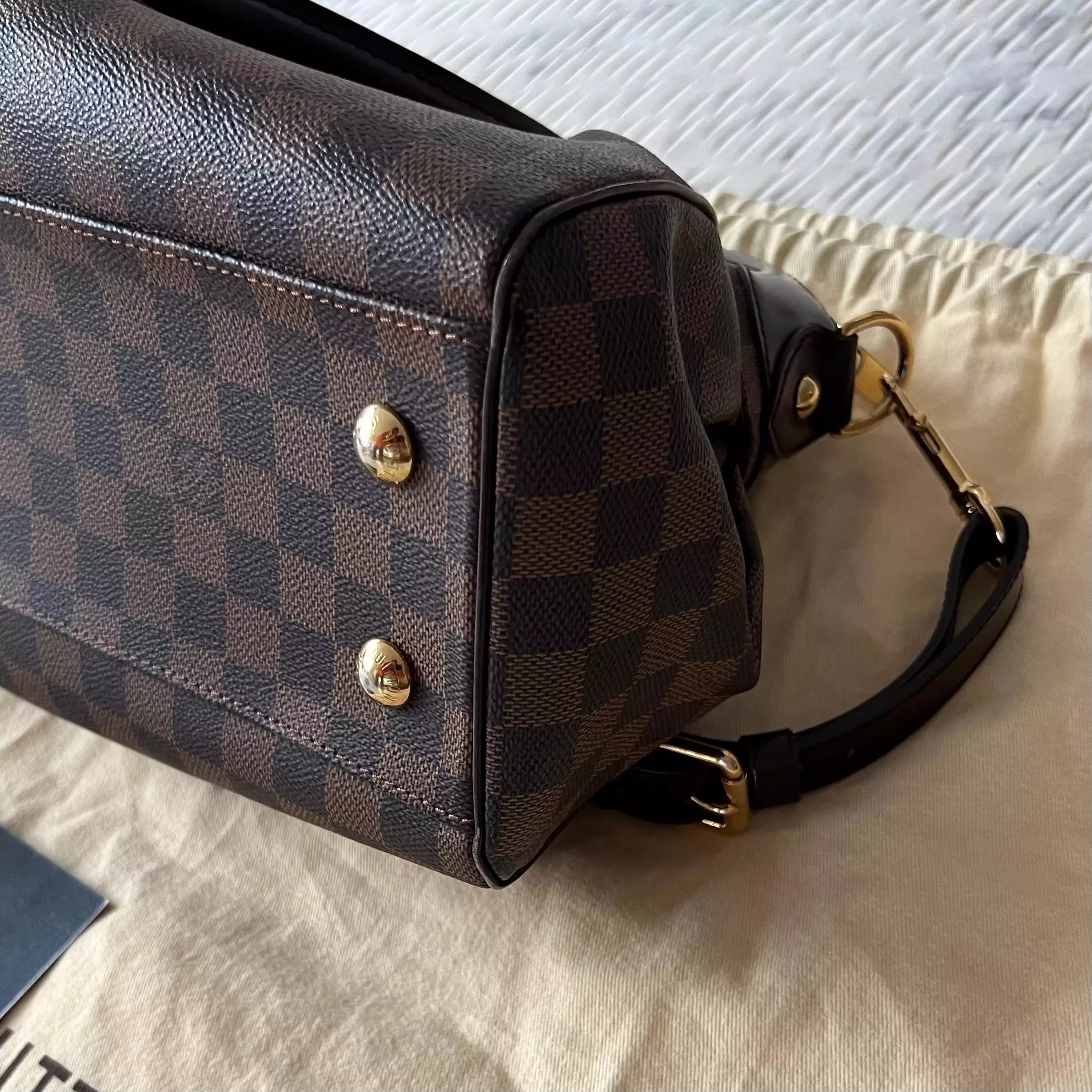 Louis Vuitton Trevi Bag