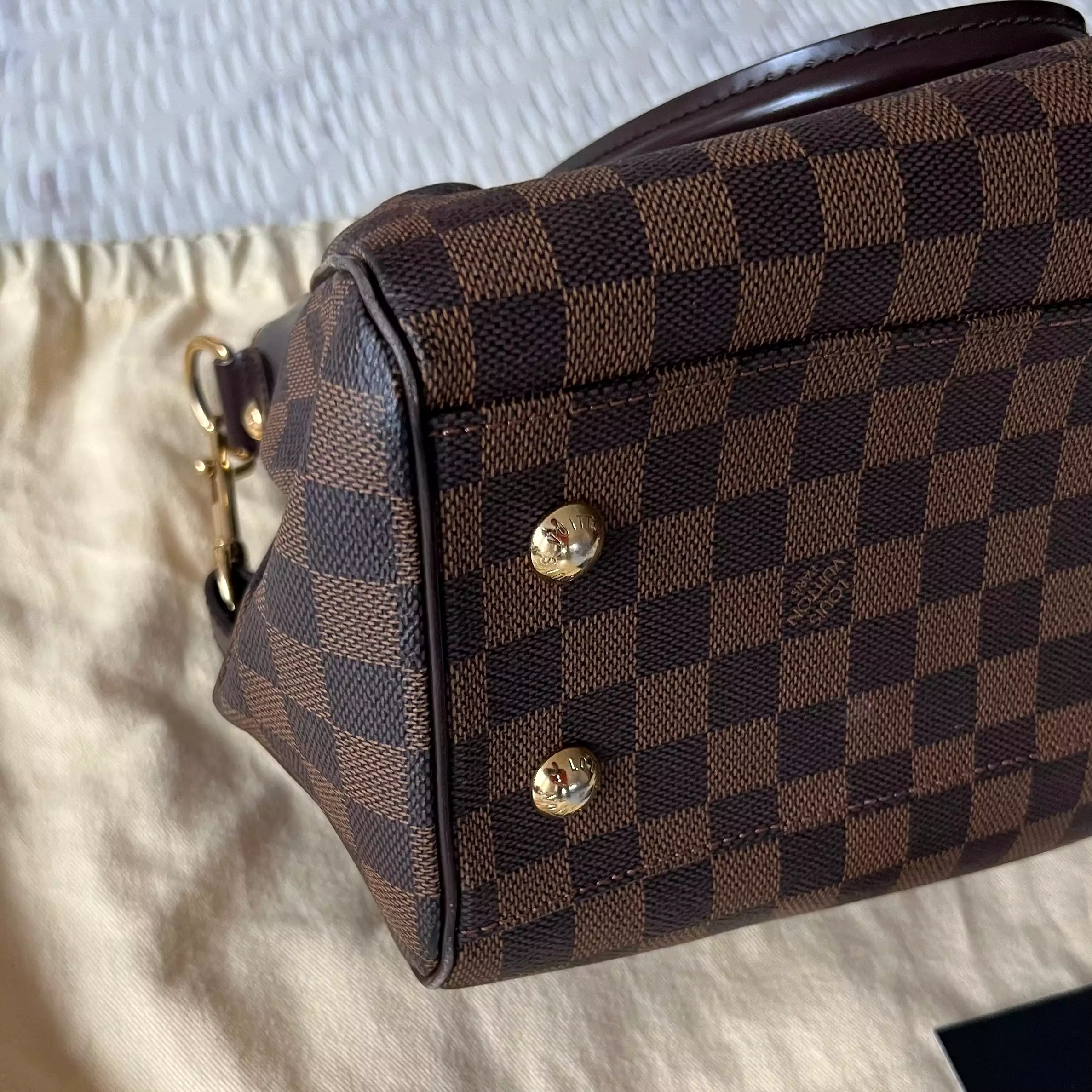 Louis Vuitton Trevi Bag